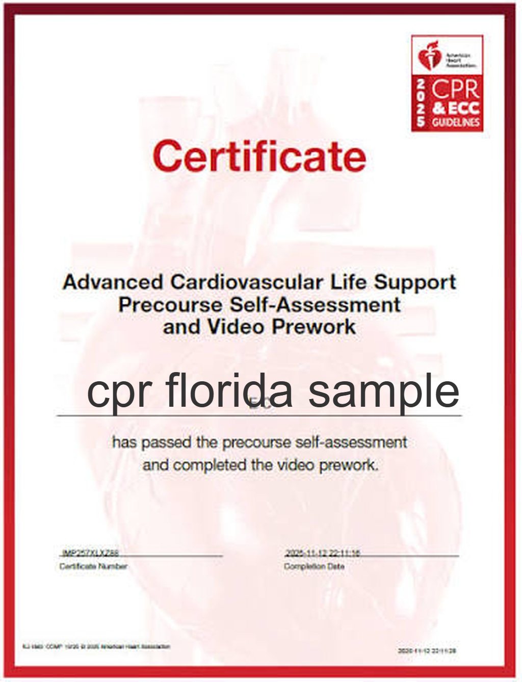 acls and pals certified in 1 day
