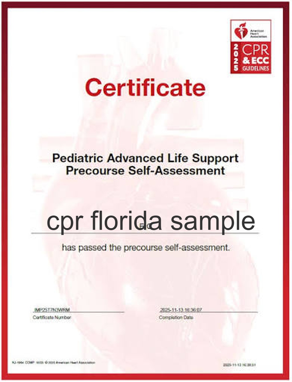 acls and pals certified in 1 day